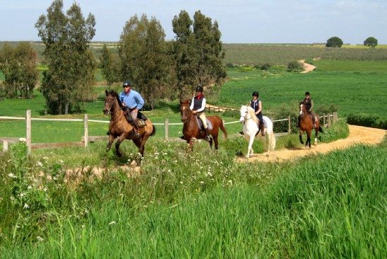 Enjoy trail riding and instruction on this dressage holiday in Spain