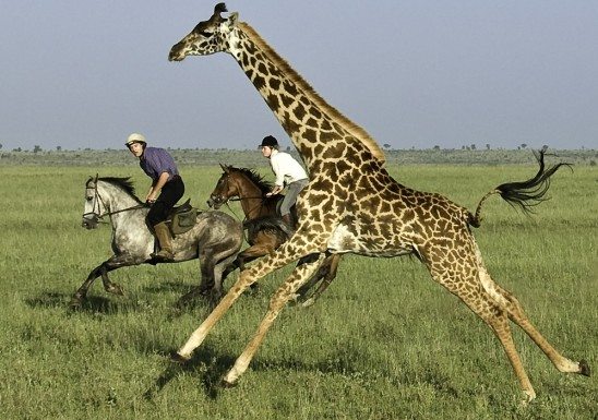 Adventure Travel on Horseback