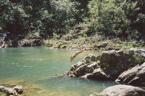 Jungle Trail Ride in Belize: Canters, Caves and Culture