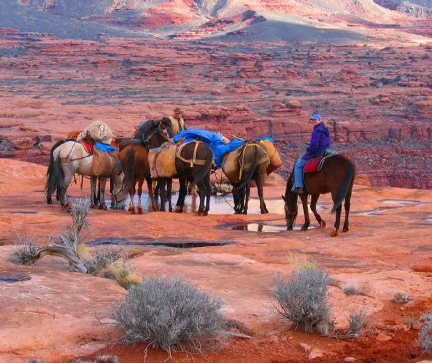 Ride through the Grand Canyon on this horseback riding trip in Arizona