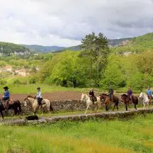 Horses on Malbec trail