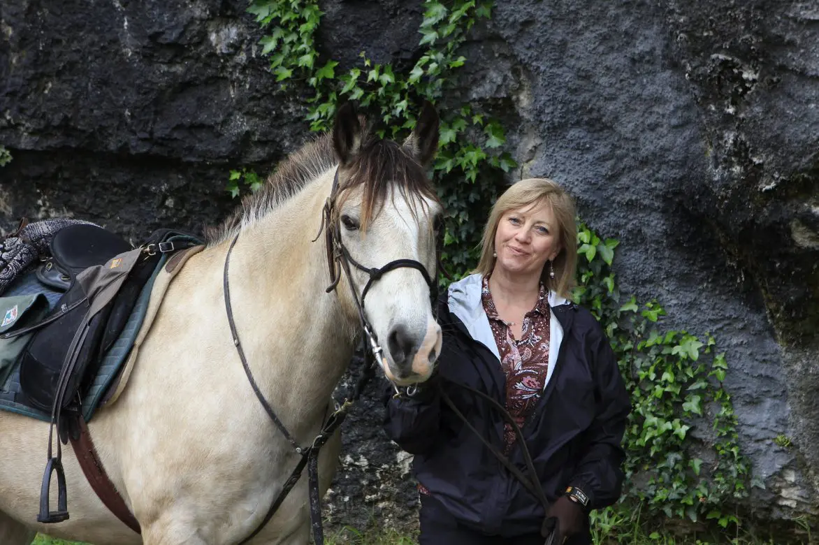 Horses go in English or Western saddles