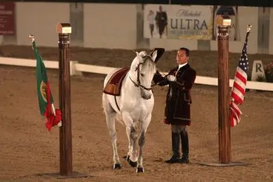 Portugese Dressage Equestrian history