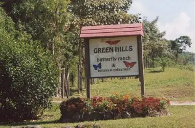 Belize Butterfly Farm