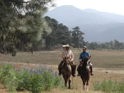 Mountain views and flowering valleys near the hacienda Mel and Pepe