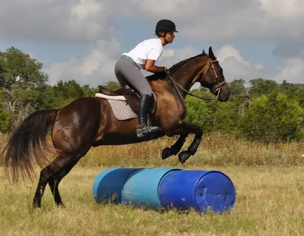 Riding vacation jumping