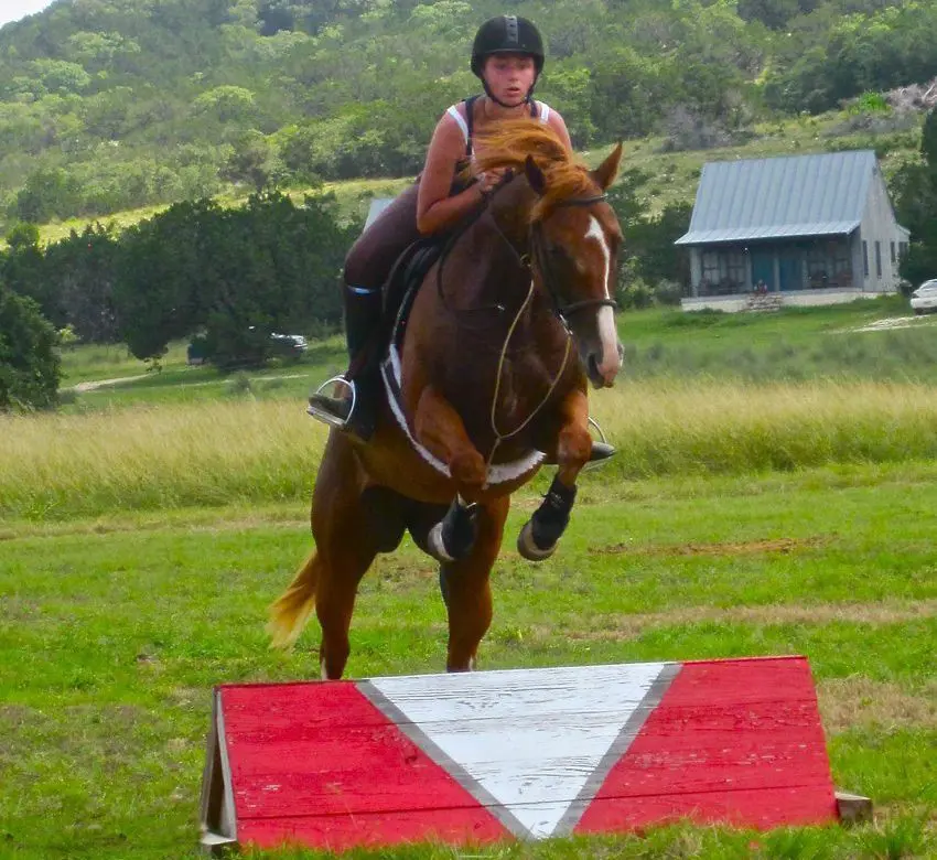 Enjoy your riding vacation jumping a variety of obstacles