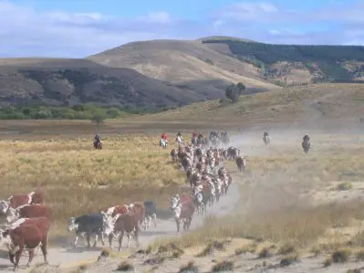 Ranch horseback riding vacation holidays 4