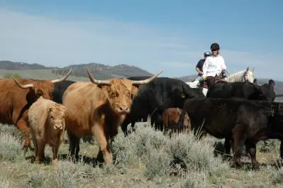 Ranch horseback riding vacation holidays 2