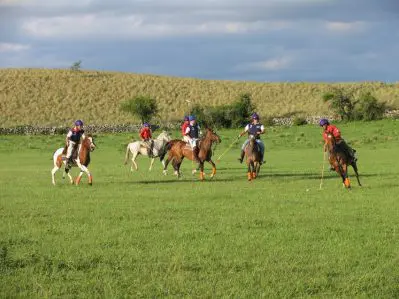 Learning the polo ropes