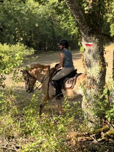 The Malbec countryside by horseback