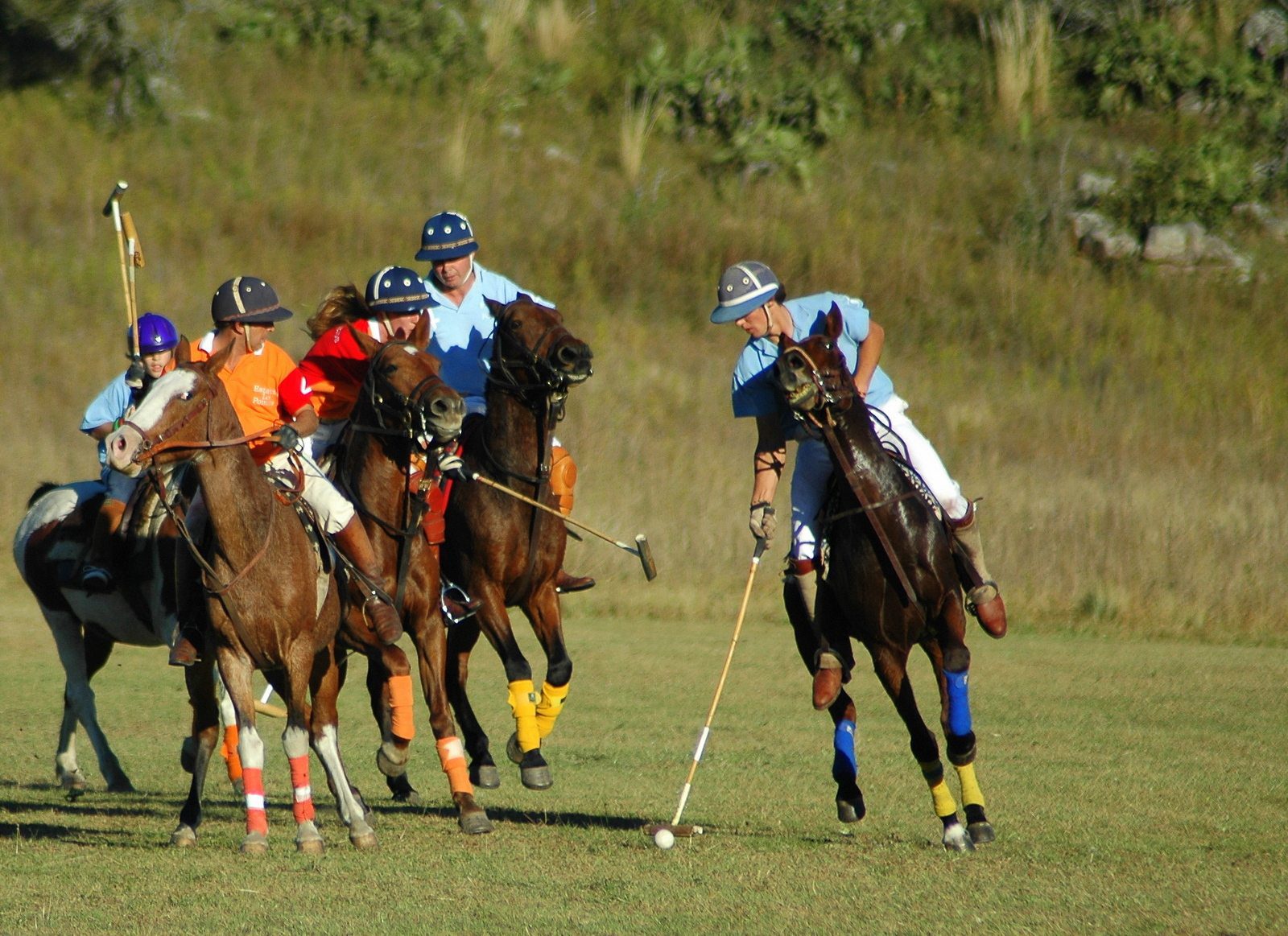 Polo at Estancia Los Potreros! Equitours Horseback Vacations Worldwide