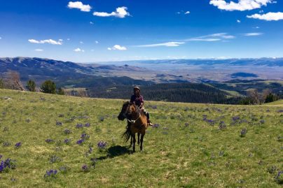 horseback pack trips wyoming