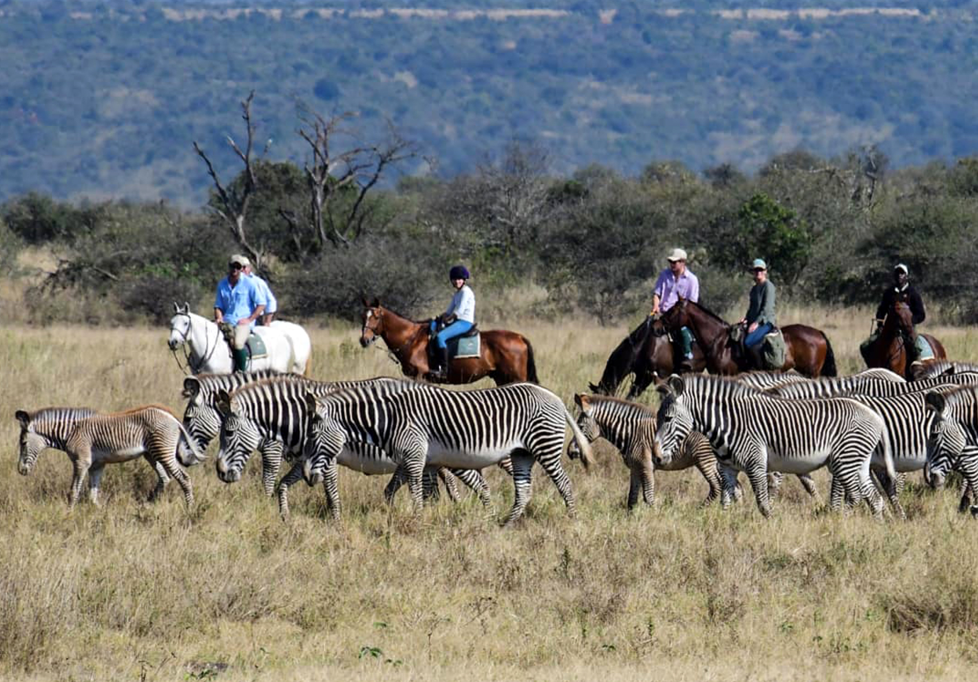 horse riding safari in kenya
