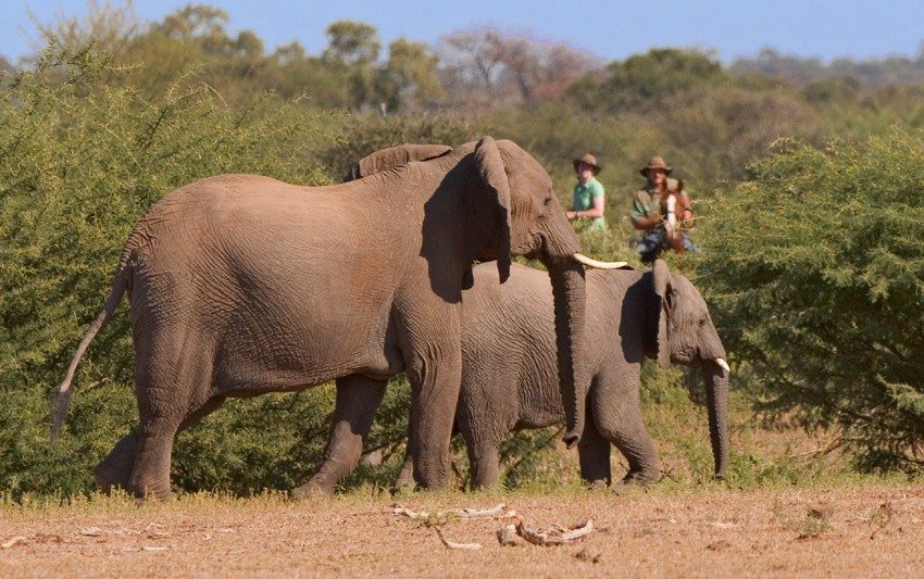 Photo Gallery - African Explorer- a tour horseback riding in South