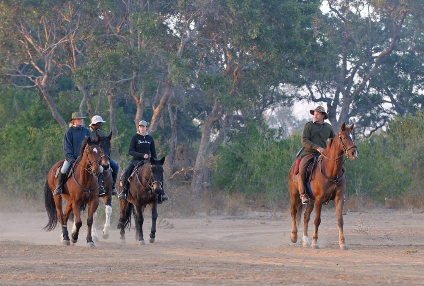 Photo Gallery - African Explorer- a tour horseback riding in South