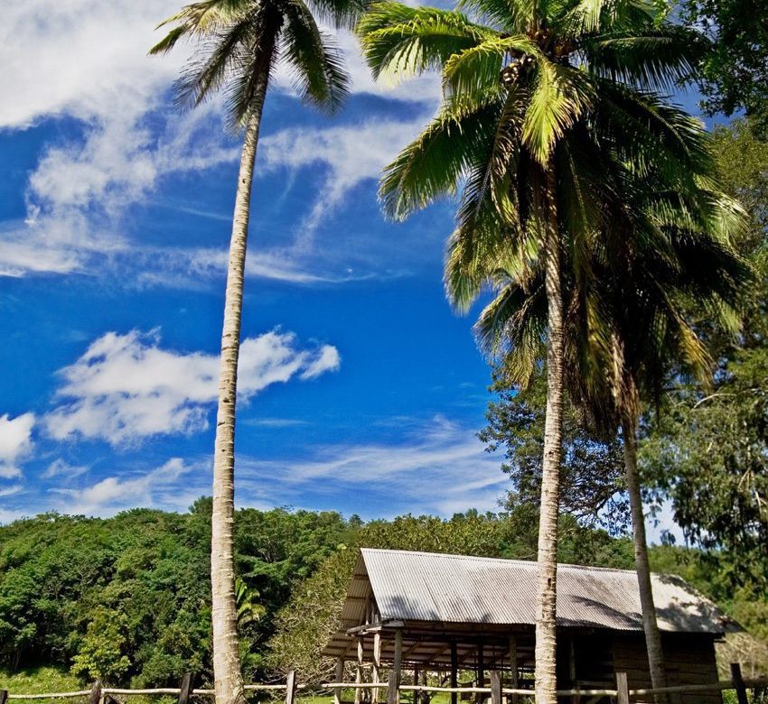 Mayan Jungle Ride- enjoy this tropical paradise while on riding tour in Belize