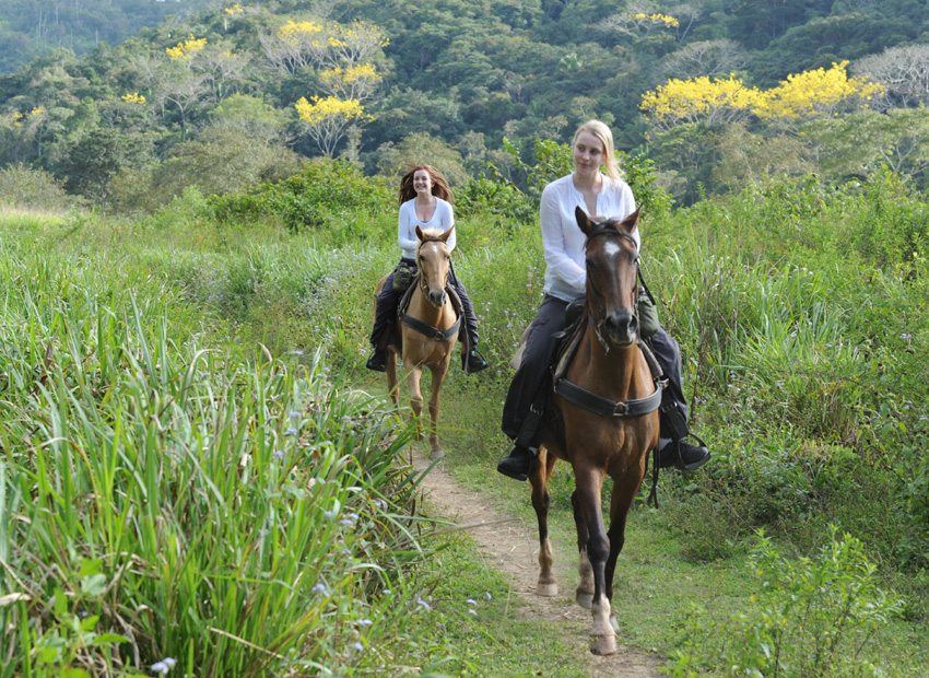 Mayan Jungle Ride- ride through beautiful country on your equestrian vacation in Belize