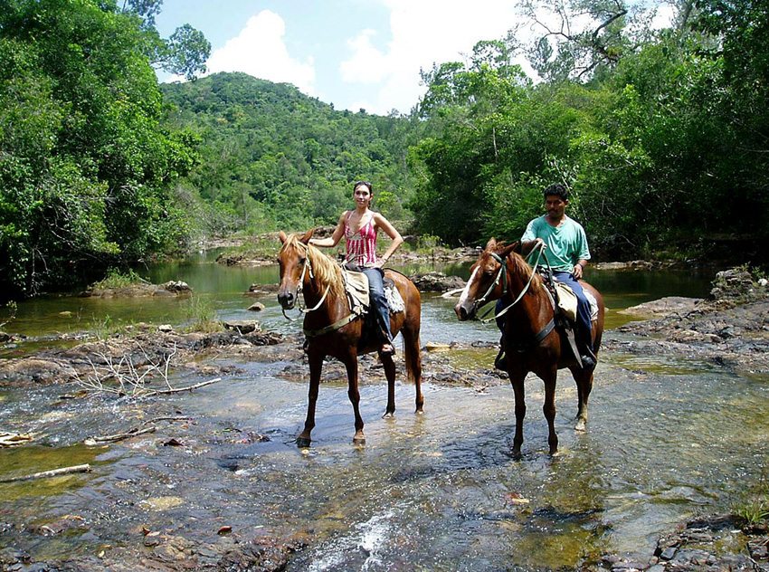 Mayan Jungle and Tikal- ride in varied terrain on this equestrian holiday in Belize
