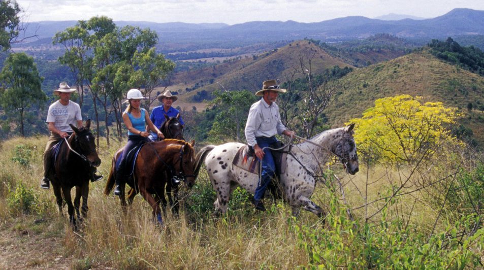 Photo Gallery Sunshine Coast A horseback riding trip in Australia on