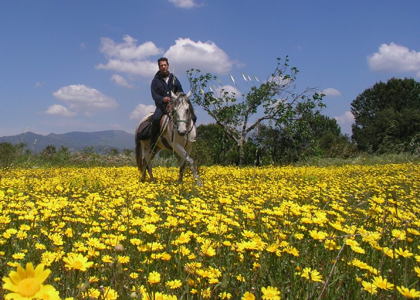 Ride through the diverse landscape of the Catalonian Coast on this horse riding trip in Spain