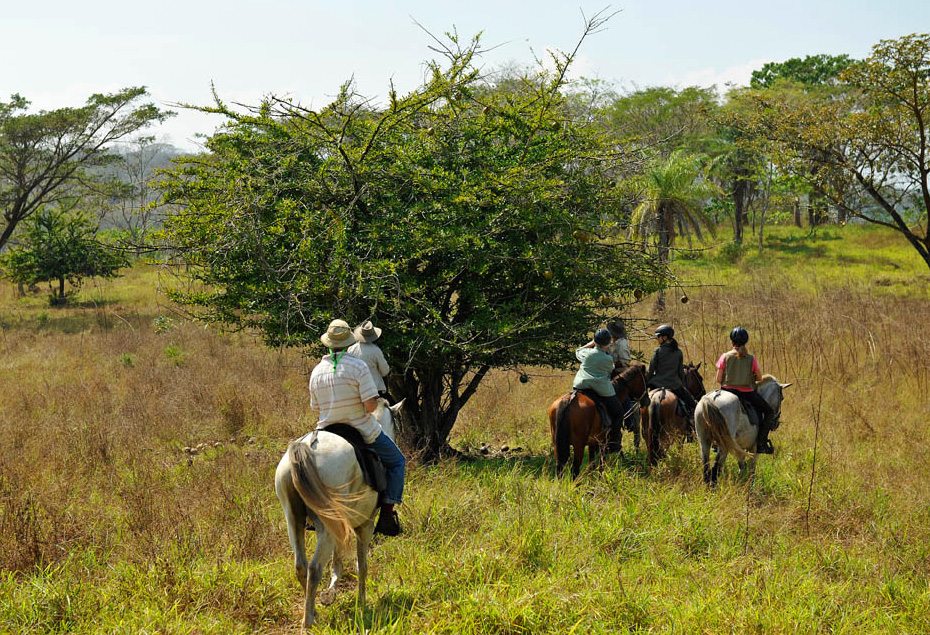 Costa Rica Odyssey- riding vacation through jungle land