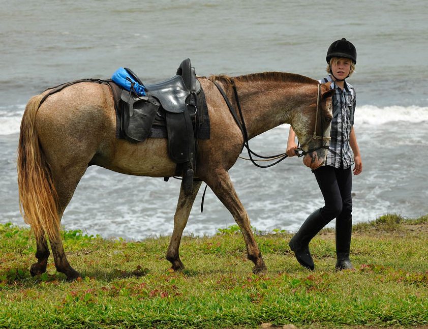 Odyssey- ride your horse near the beach on this Costa Rica riding vacation