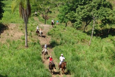 Rainforest Adventure- enjoy nature riding in Costa Rica