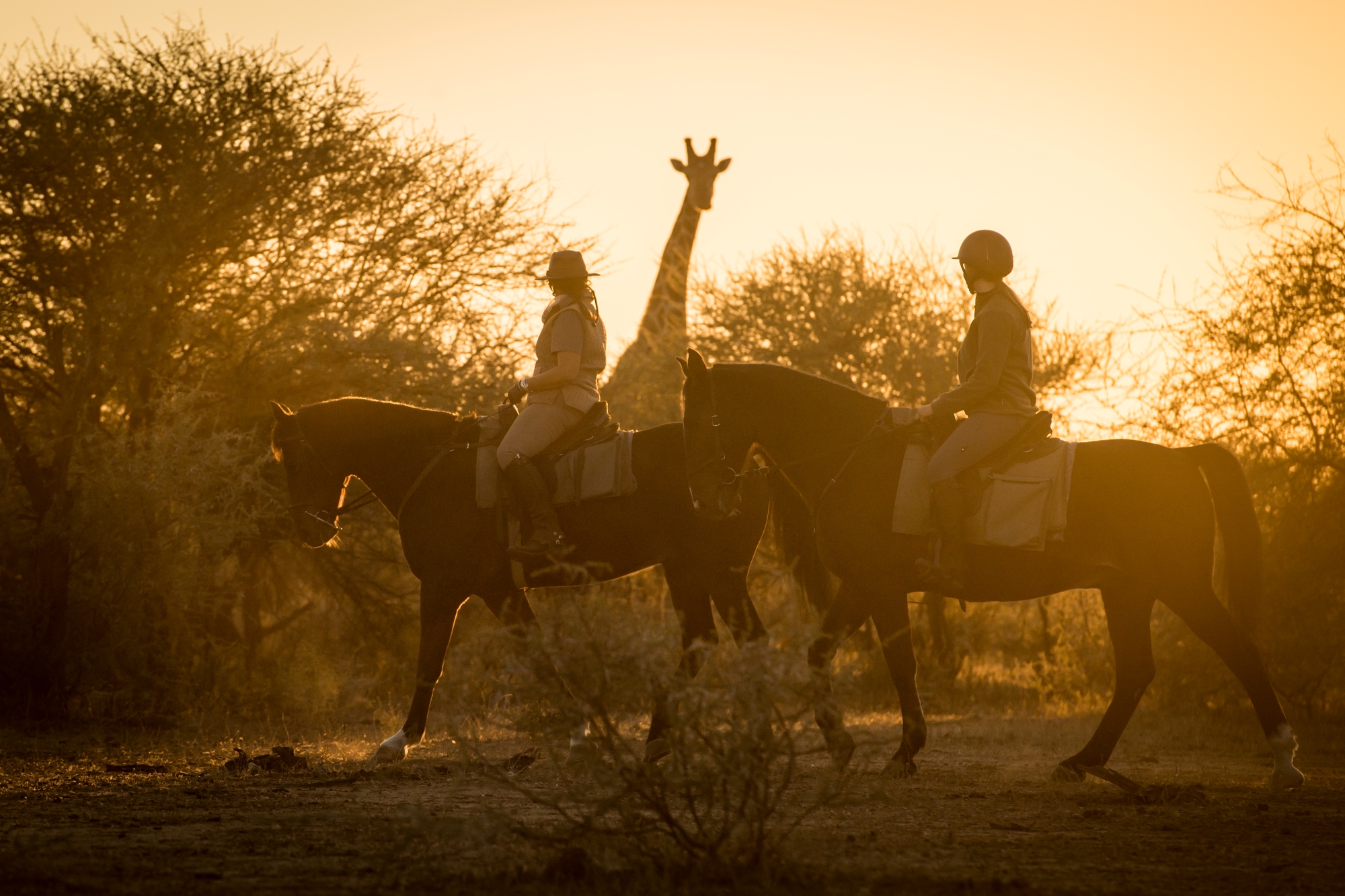 African Explorer- a tour horseback riding in South Africa and Botswana