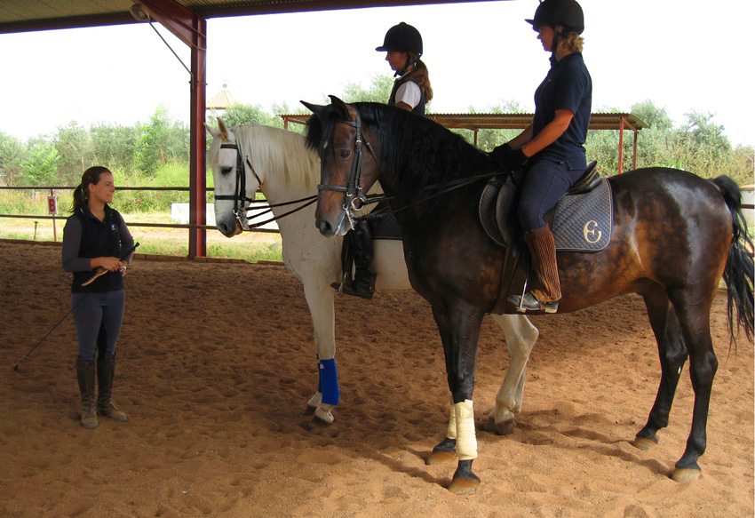 Benefit from focused instruction on this dressage holiday in Spain