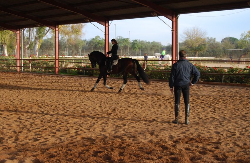 Benefit from the tutelage of instructors highest in their field during the Classical High School dressage riding vacation in Spain