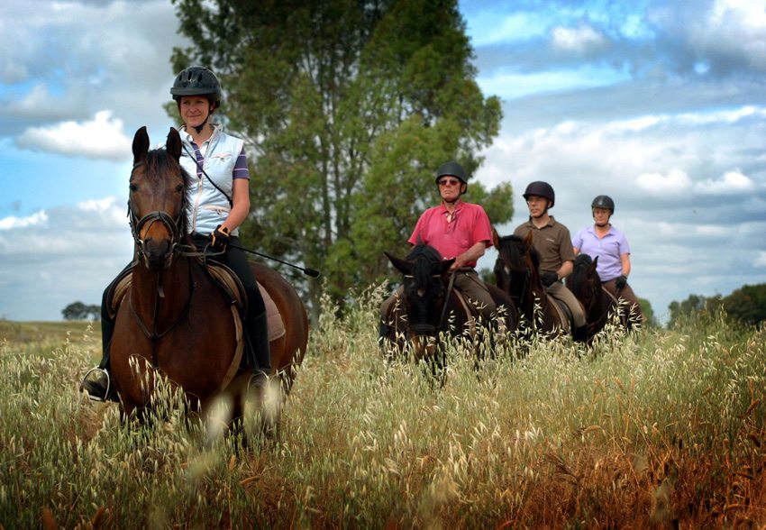 Ride on the trails as well during the Epona dressage holiday in Spain