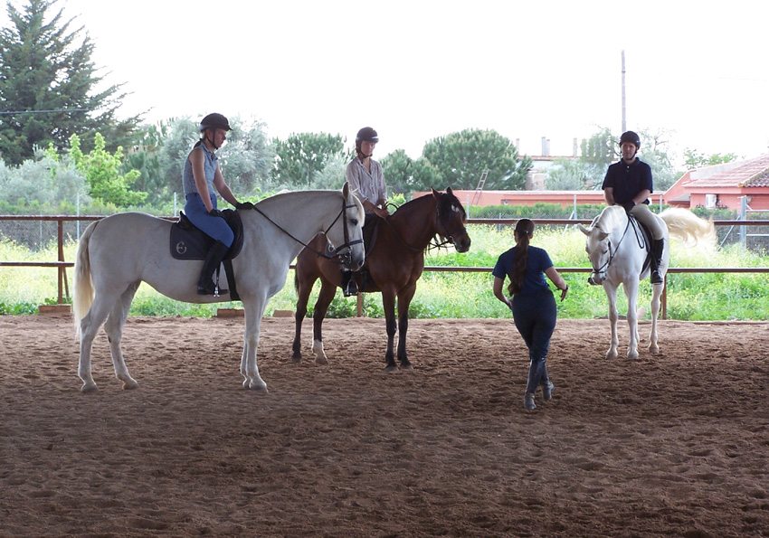 Benefit from quality instruction while horseback riding in Spain