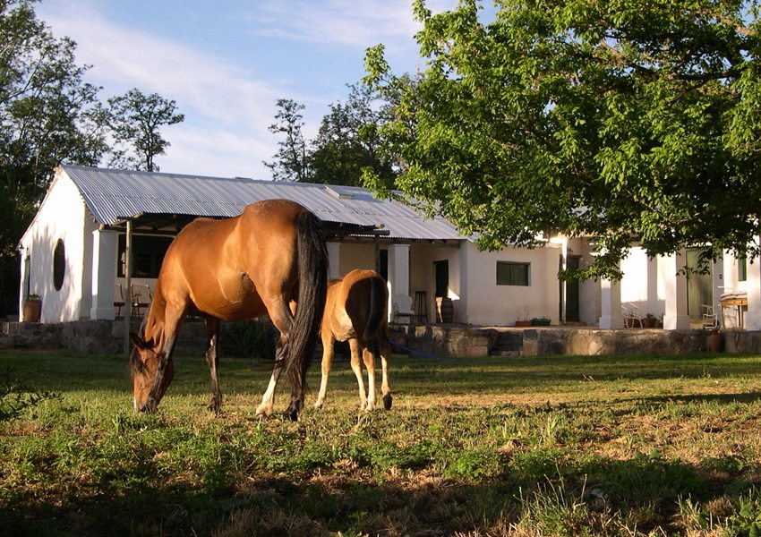 Estancia Los Potreros- the estancia will be your home during your riding trip in Argentina