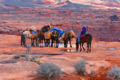 Ride through the Grand Canyon on this horseback riding trip in Arizona
