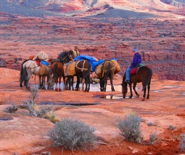 Ride through the Grand Canyon on this horseback riding trip in Arizona