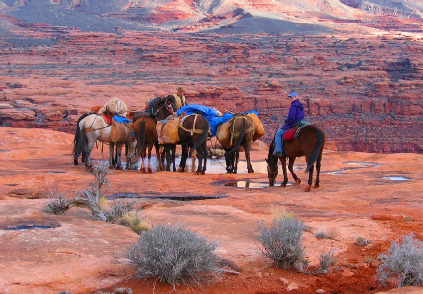 grand canyon tours on horseback