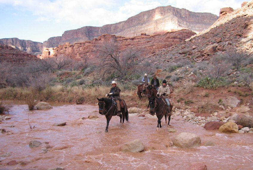 Experience the Grand Canyon in the way of the original exploreres on this horseback riding trek