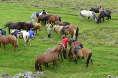Fjallabak Tour- ride Icelandic horses on this equestrian holiday in Iceland