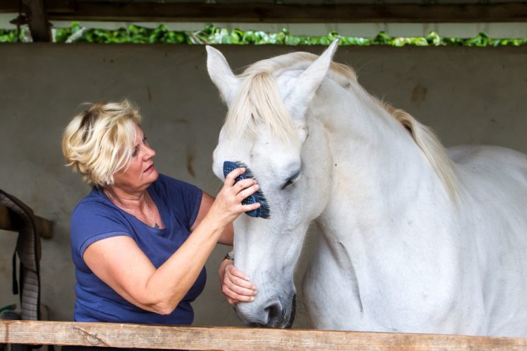 Domaine des Garenneshorseback riding tour in France by Equitours