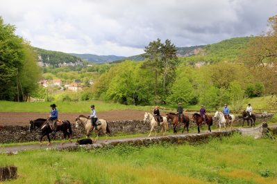 Horses on Malbec trail