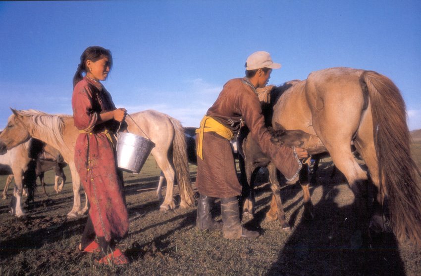 Be a part of Mongolian tradition on the Karakorum horseback riding holiday in Mongolia