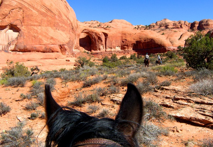 You will develop a close bond with your horse during your equestrian holiday in Navjoland in Arizona