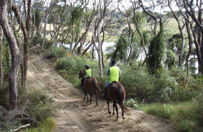 Photo Gallery Horseback riding in New Zealand; friendly people, fine