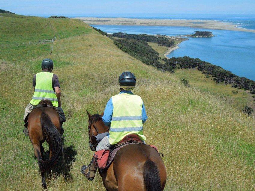 Photo Gallery Horseback riding in New Zealand; friendly people, fine