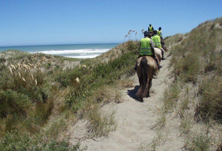 Photo Gallery Horseback riding in New Zealand; friendly people, fine