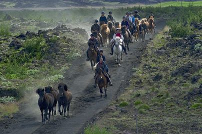 iceland horse trip