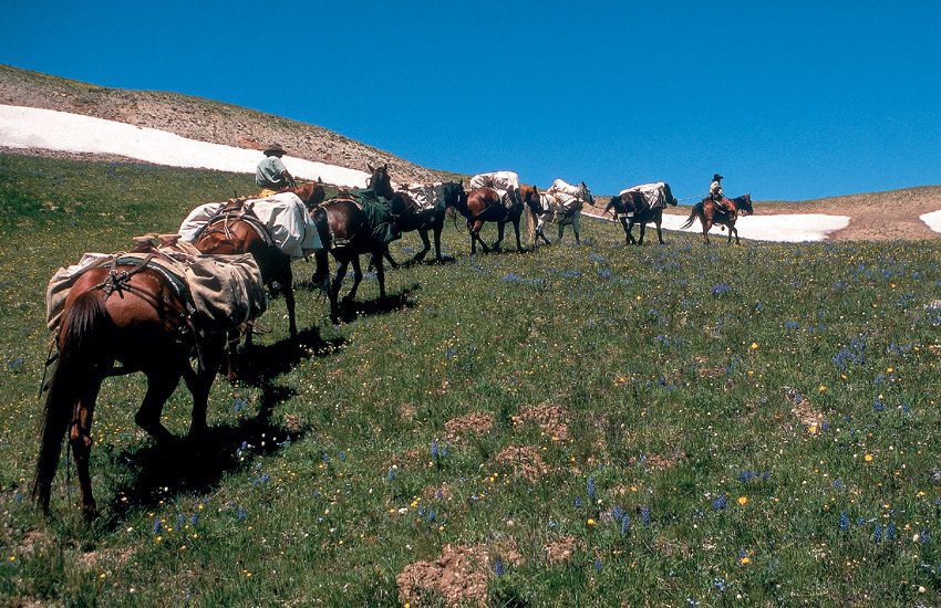 Pack trip in Wyoming