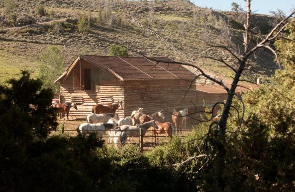Get a glimpse of working ranch life during your vacation at the Bitterroot in Wyoming