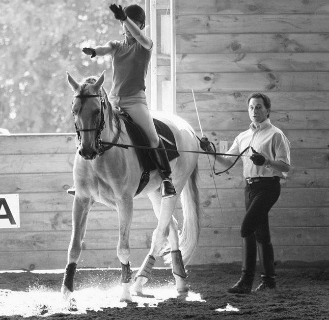 Classical Dressage in New England